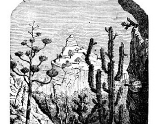 In the Light of a Setting Sun