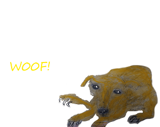 cooleyedog