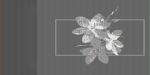 Cover image for Grow.Plant.Bloom