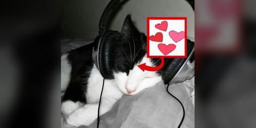 Cover image for PC Taggers