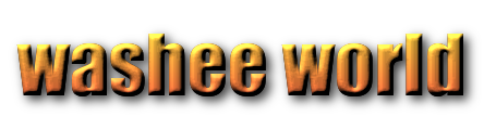 washee world