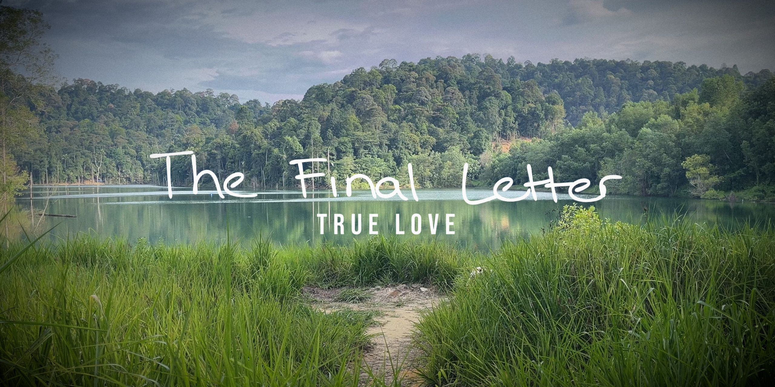 Cover image for True Love: The Final Letter