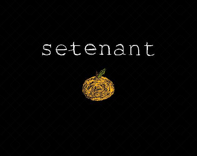 Cover image for Setenant