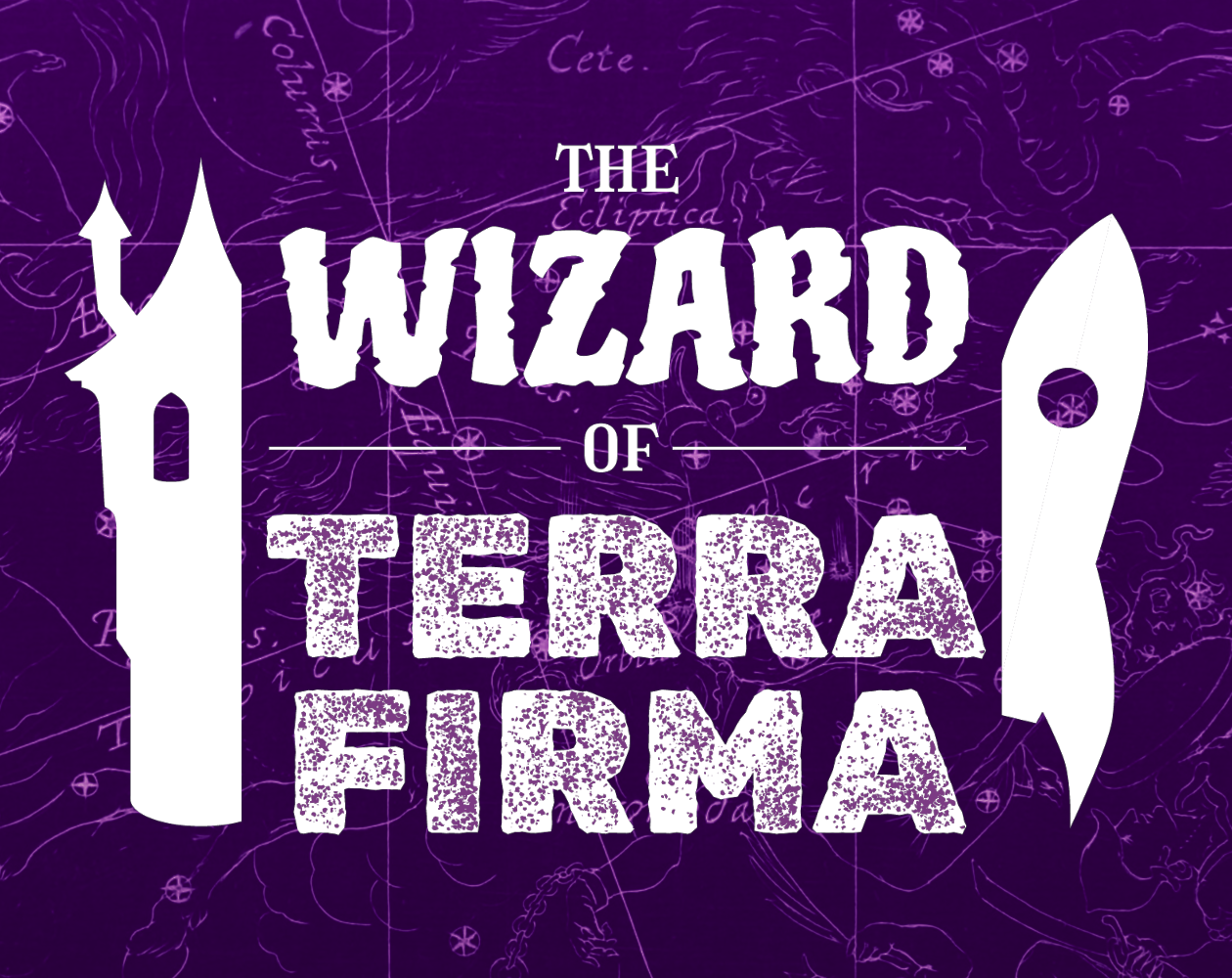 Cover image for The Wizard of Terra Firma