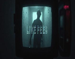 LiveFeed (Bodycam Testing)