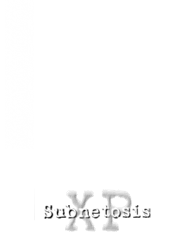 Subnetosis XP