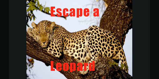 Cover image for Escaping a leopard