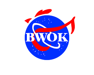 BWOK ( 4 players party game)
