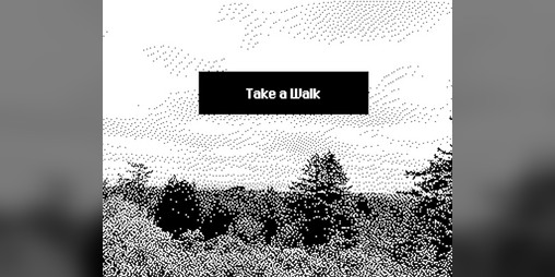 Cover image for Take a Walk