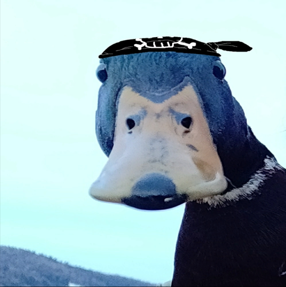 AAAA game (Attack of Autistic Animal Assassins)