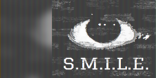 Cover image for S.M.I.L.E.