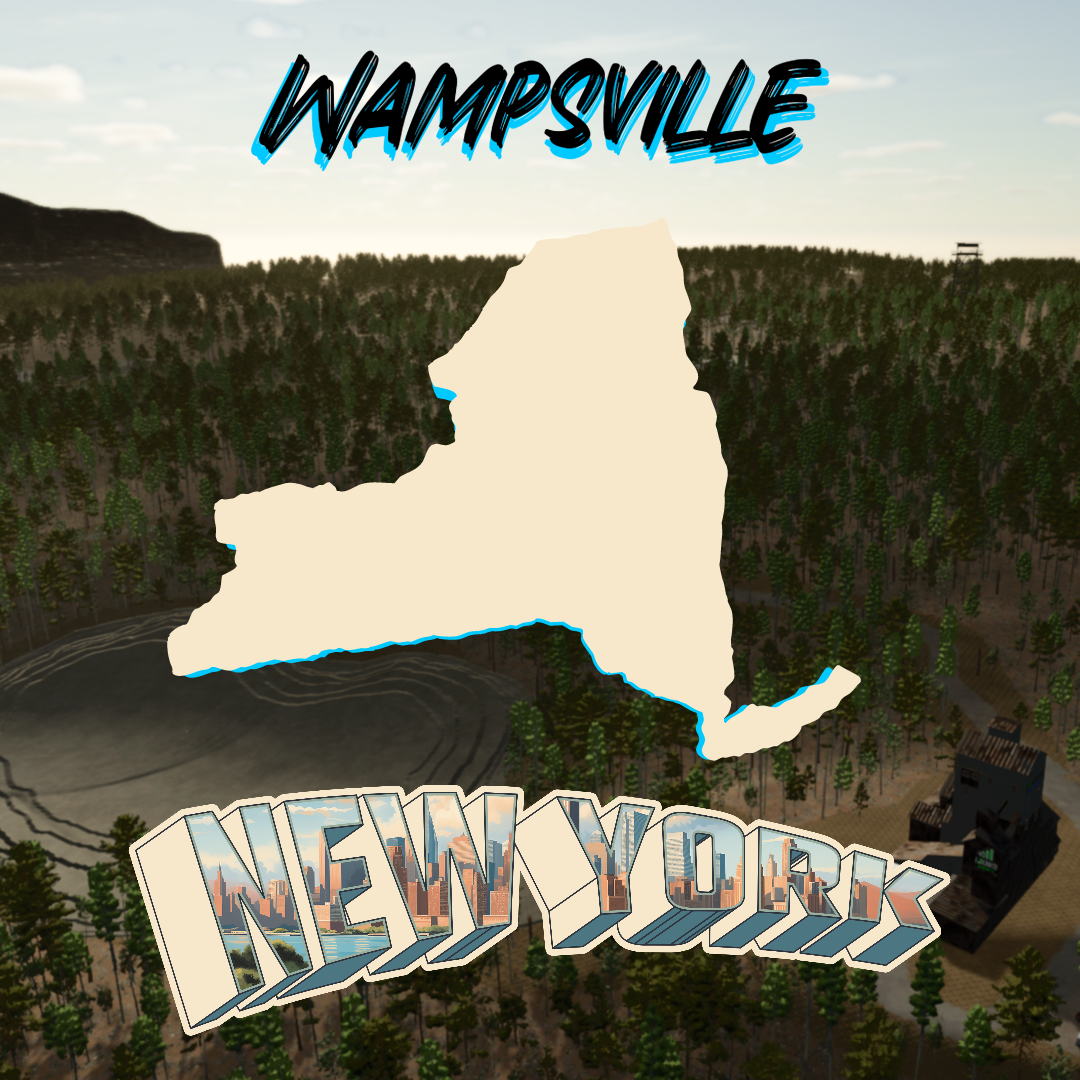 Cover image for WAMPSVILLE, NY