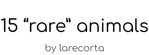 15 "rare" animals