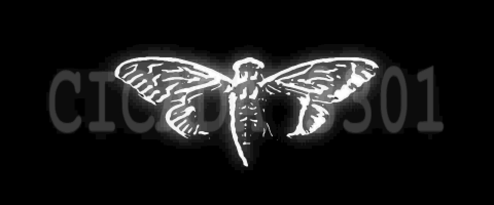 CICADA3301