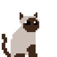 Siamese Cat