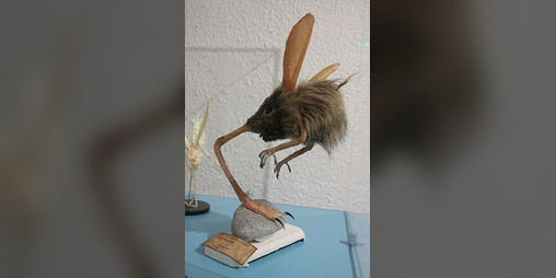 Cover image for Flight of the Otopteryx