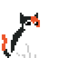 Calico Cat