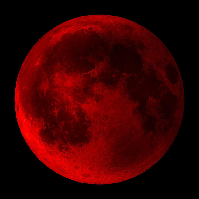 Cover image for The Red Moon