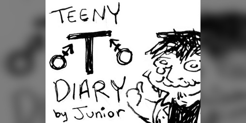 Cover image for Teeny T Diary