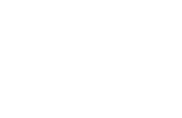 Notebook Detective