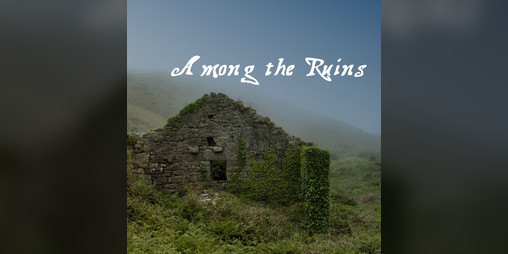 Cover image for Among the Ruins