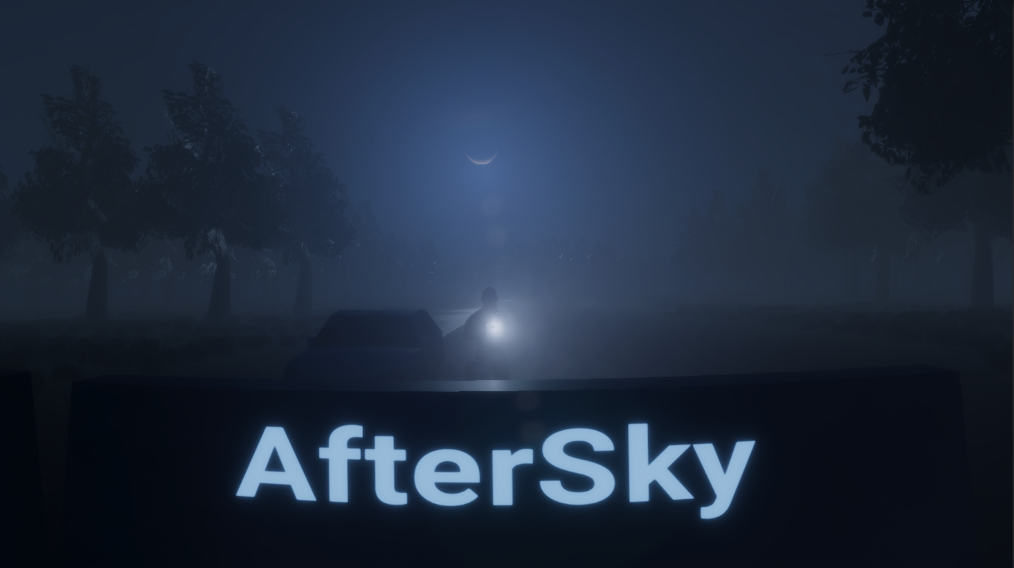 Cover image for AfterSky