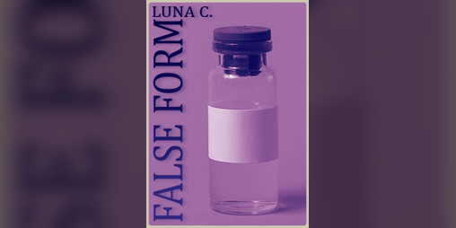 Cover image for False Form