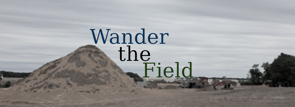 Wander The Field