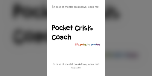 Cover image for Pocket Crisis Guide