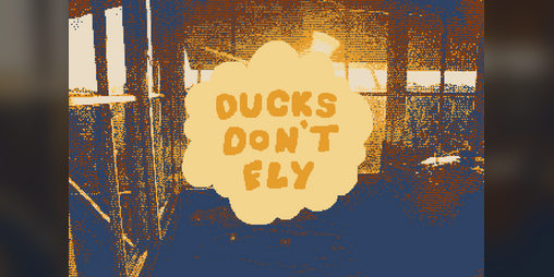 Cover image for Ducks Don't Fly