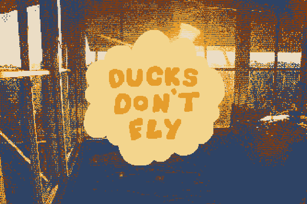 Ducks Don't Fly