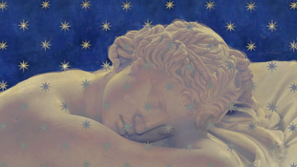 Cover image for Sleeping Hermaphrodite