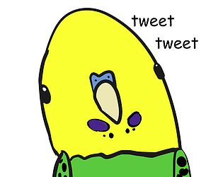 Budgie glide
