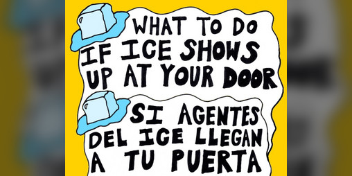 Cover image for POSTER! What To Do if ICE Shows Up At Your Door/Si Agentes Del ICE Llegan a Tu Puerta