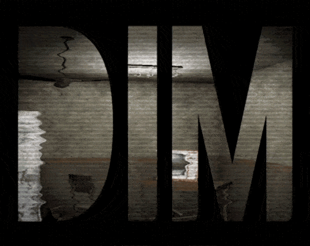 Cover image for DIM