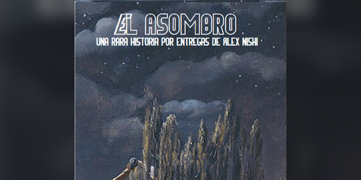 Cover image for El Asombro - Nº1 Hermanos