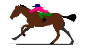 Cover image for Horse Racing