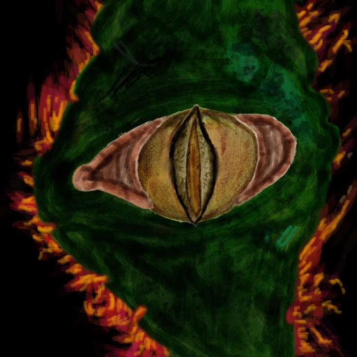 Cover image for Ennius Travel "chain of scales"