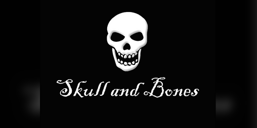 Cover image for Skull and Bones ALPHA2