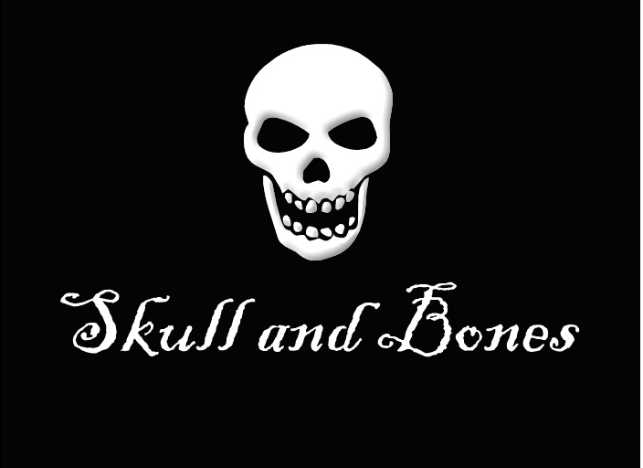 Cover image for Skull and Bones ALPHA2