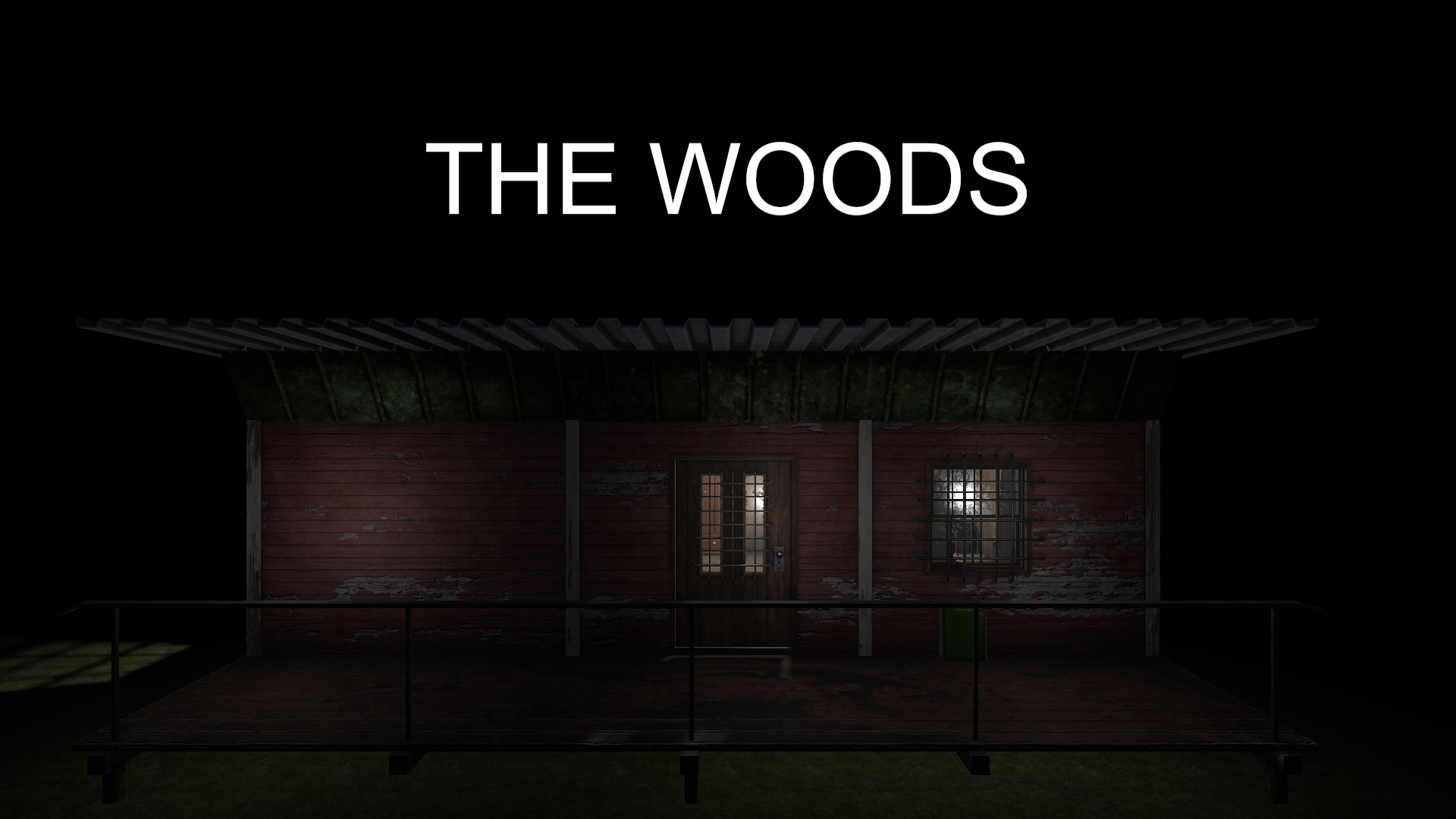 Cover image for The Woods