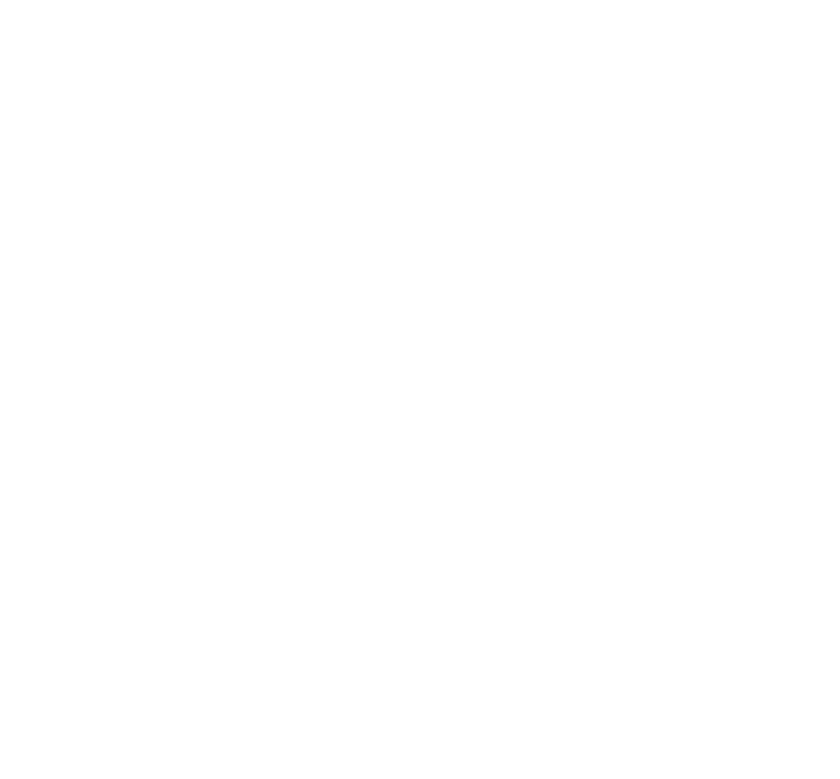 Mauro's LinkedIn Profile