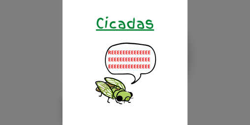 Cover image for Cicadas