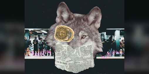 Cover image for Microfictions