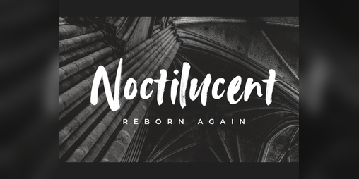 Cover image for Noctilucent: Reborn Again