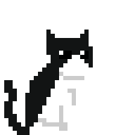 Tuxedo Cat