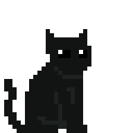 Black Cat