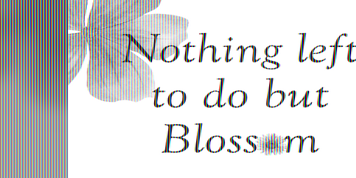 Cover image for Nothing left to do but blossom