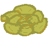 Cabbage Chaos