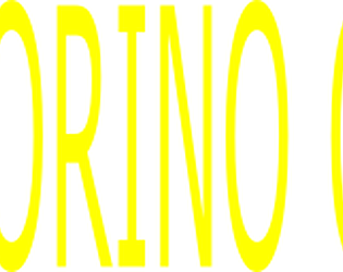 Gran Torino Omni IV